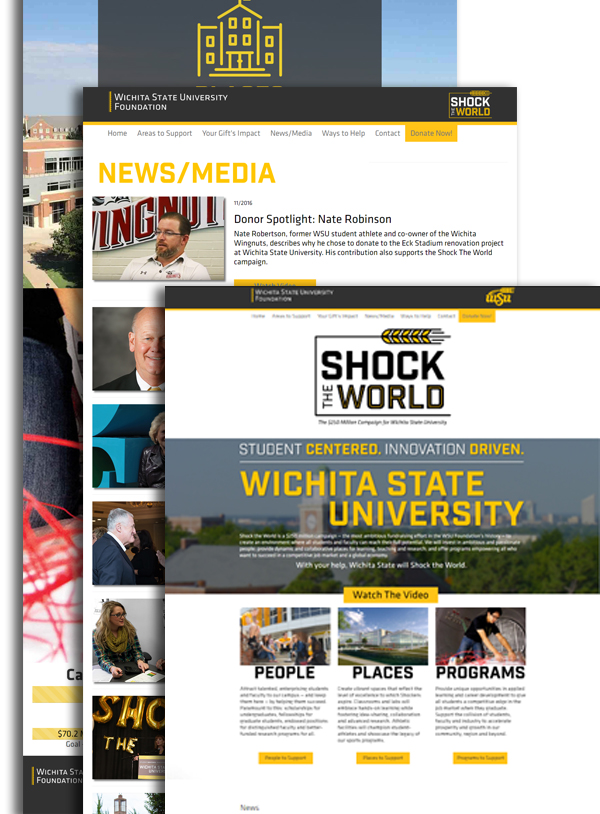 Shock the World Website